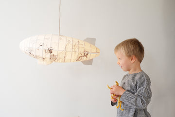 DIY Airship Kit - Endangered Collection
