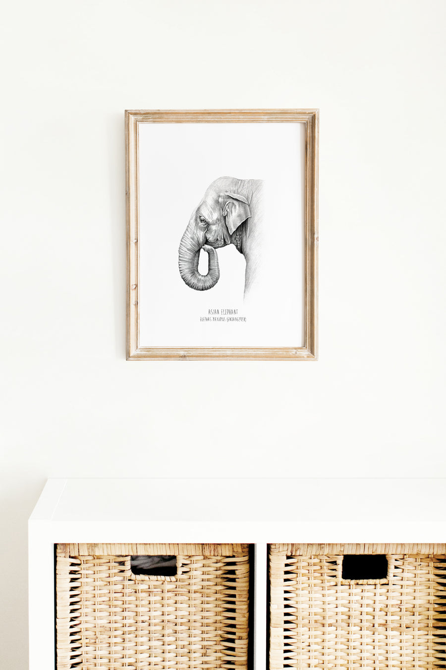 1 Print - Endangered Collection