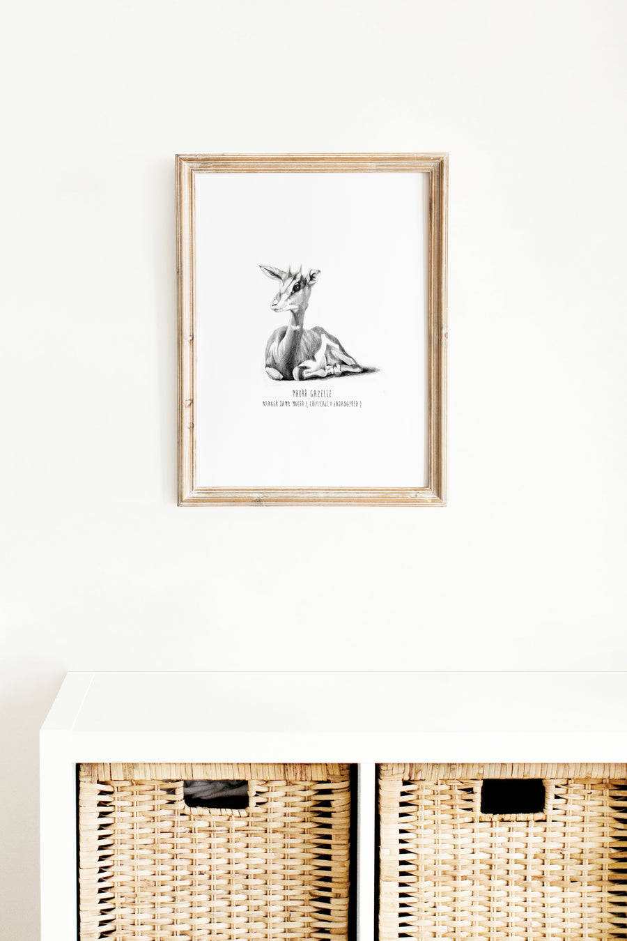 1 Print - Endangered Collection