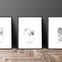 3 Prints - Endangered Collection