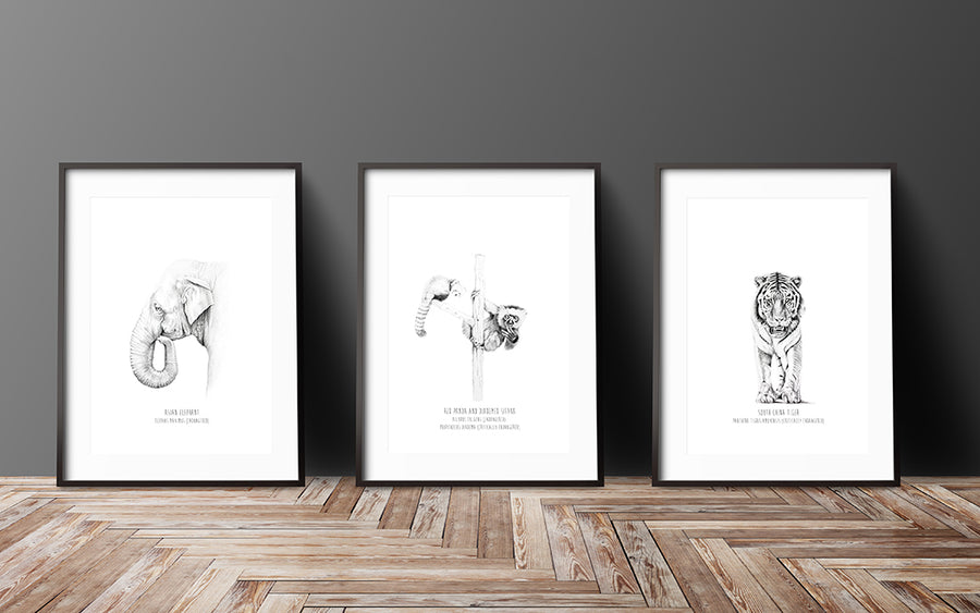 3 Prints - Endangered Collection