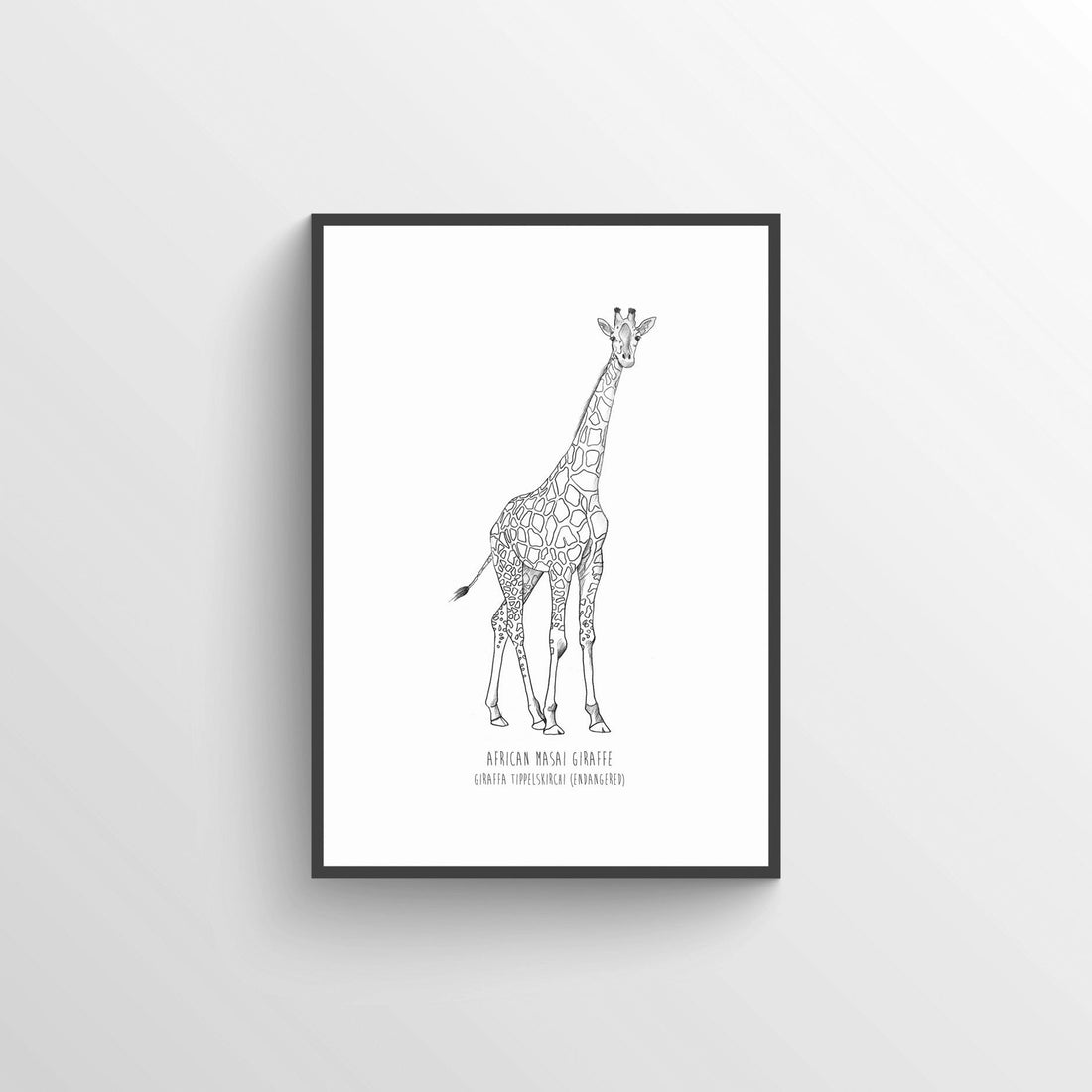 6 Prints - Endangered Collection